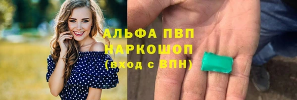 молекула духа Гусиноозёрск