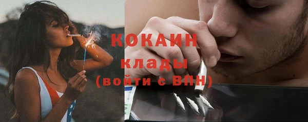mix Гусь-Хрустальный