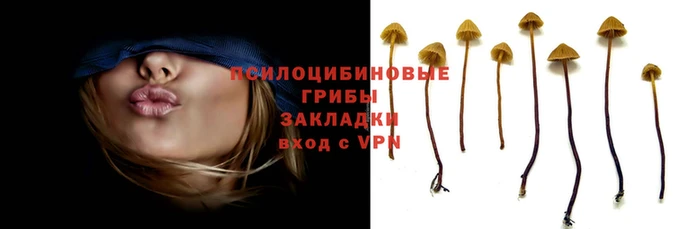 ПСИЛОЦИБИНОВЫЕ ГРИБЫ Горняк