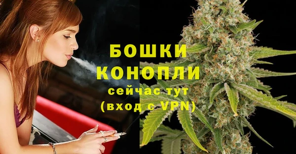 молекула духа Гусиноозёрск
