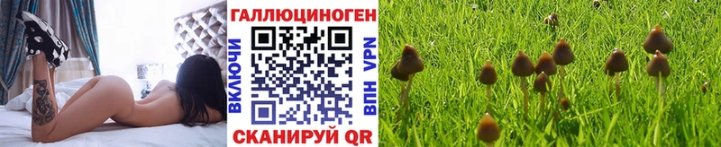 Купить закладки  Людиново  Псилоцибиновые грибы мухоморы 